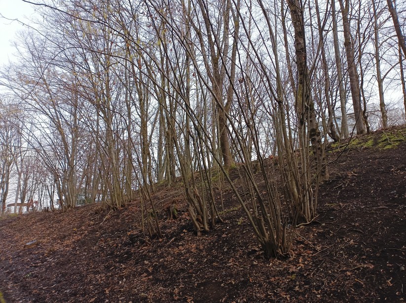 Gigaset GX4 - Originalaufnahmen