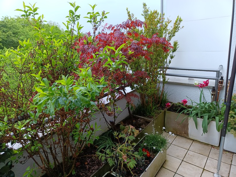 Unihertz Luna - Originalaufnahmen 