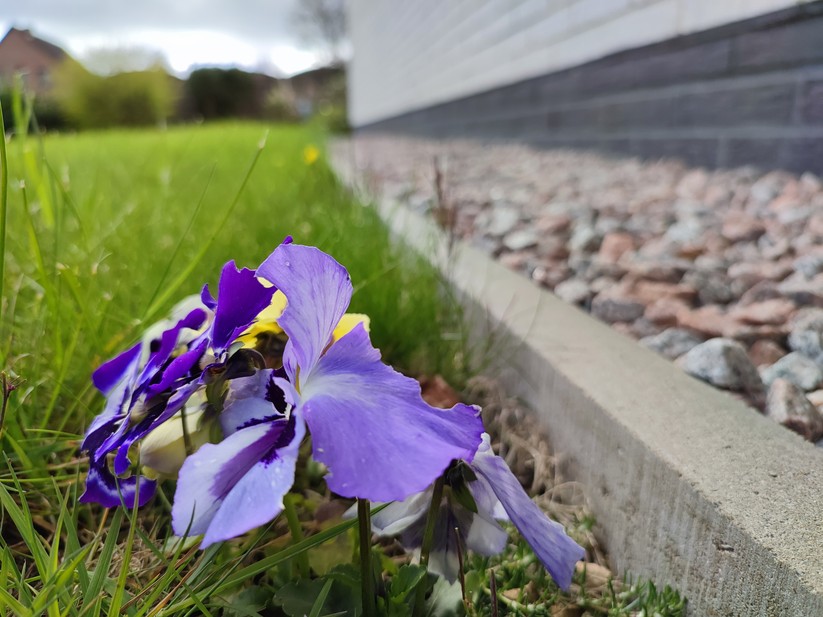 Xiaomi Redmi Note 10 Pro