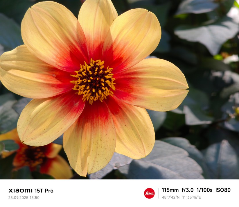 Xiaomi 15T Pro - Originalaufnahmen