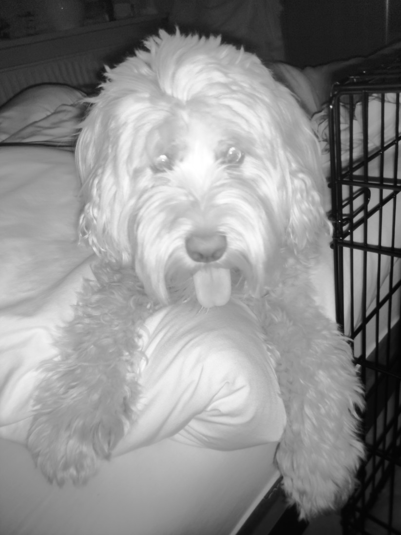 Oukitel WP100 Titan - Originalaufnahmen 