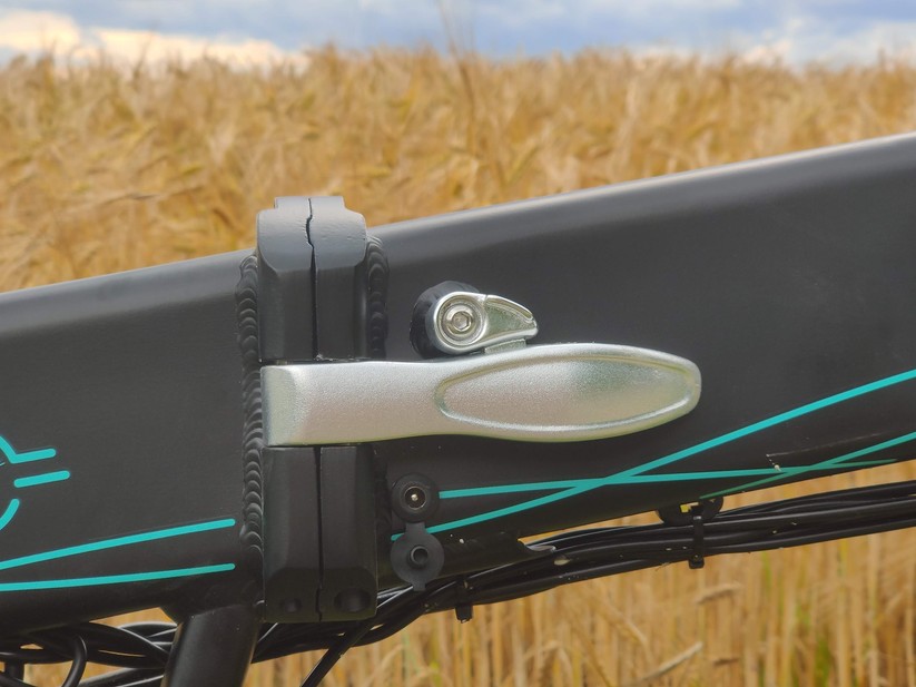 Fiido D4S in Bildern