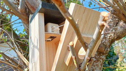 HIHIMARK Intelligenter Vogelfutterspender Mit Kamera – Solar, KI-Erkennung, 4MP, App-Steuerung, Für Vogelbeobachtung