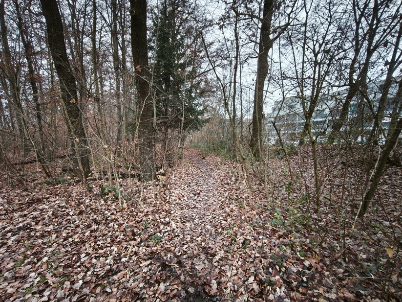 Xiaomi 15T - Originalaufnahmen