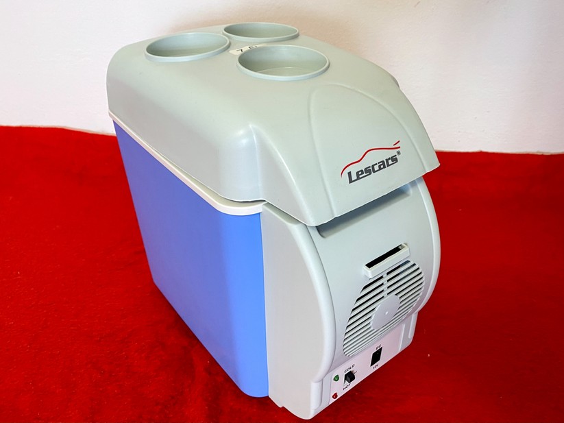 Lescars Auto Kühlbox