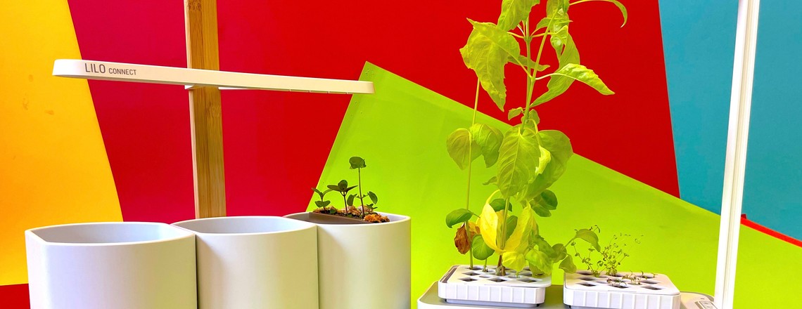 Indoor-Garten
