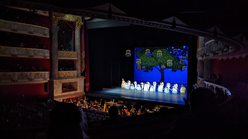 Google Pixel 6 Pro Fotos