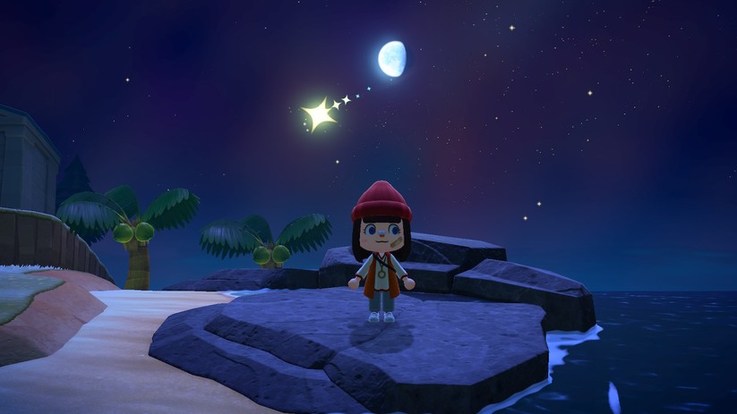  New Horizons