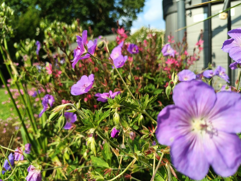 Blackview BV8200 - Originalaufnahmen