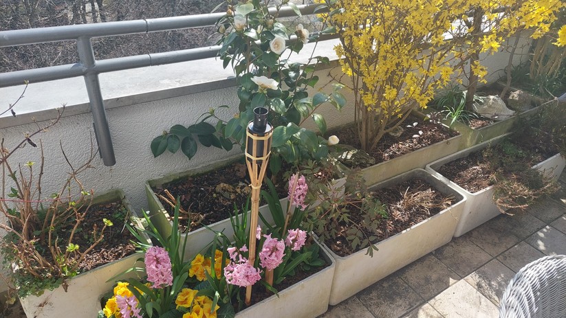 Mit dem Samsung Galaxy A52 geschossene Fotos