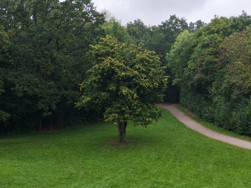 Honor 400 - Originalaufnahmen