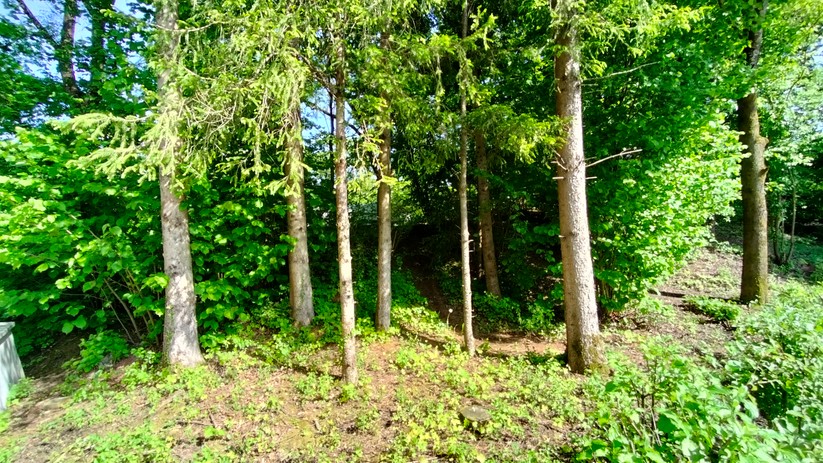 Realme 9 - Originalaufnahmen 