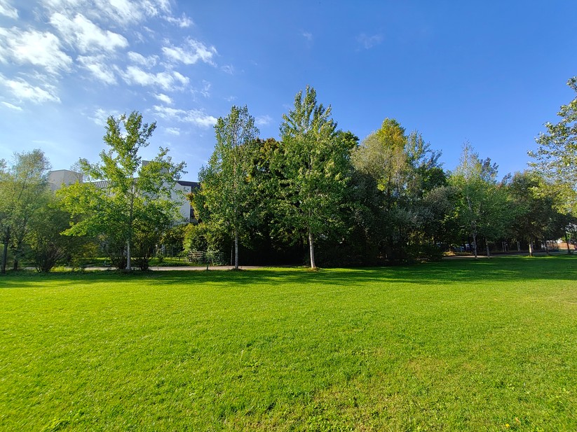 Realme 14 Pro+ 5G - Originalaufnahmen