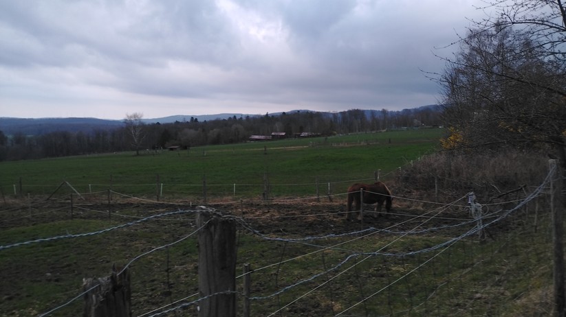 Cat S53 - Originalaufnahmen