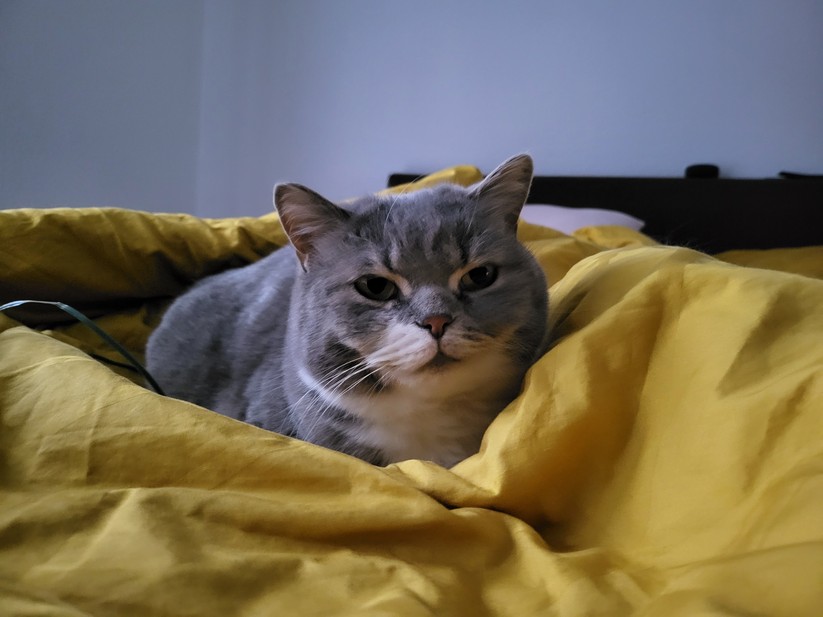 Samsung Galaxy Z Fold 3 5G