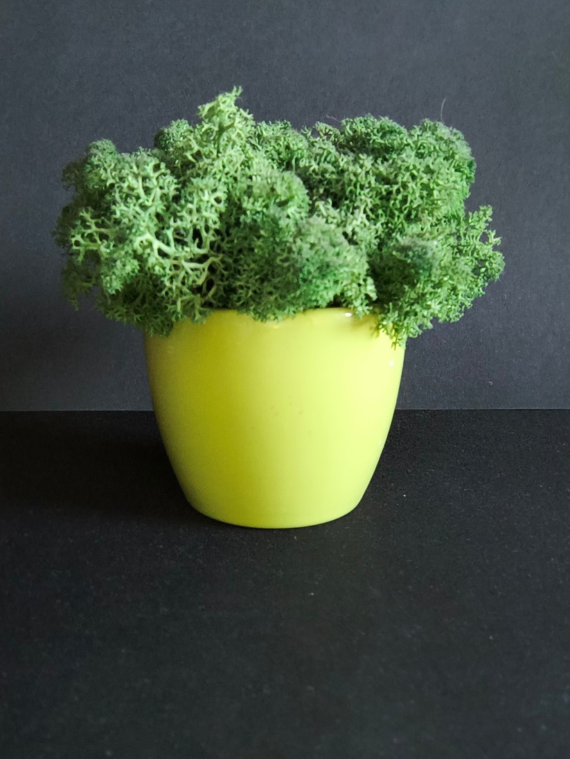 Motorola Edge 40 Neo – Originalaufnahmen 