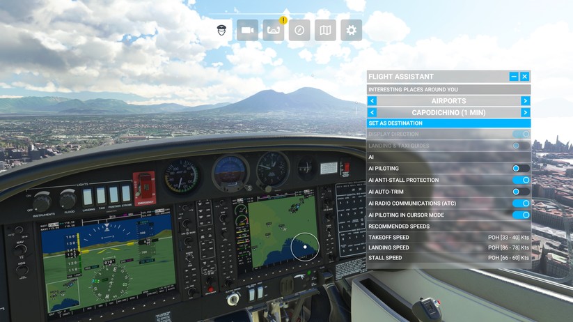 Microsoft Flight Simulator