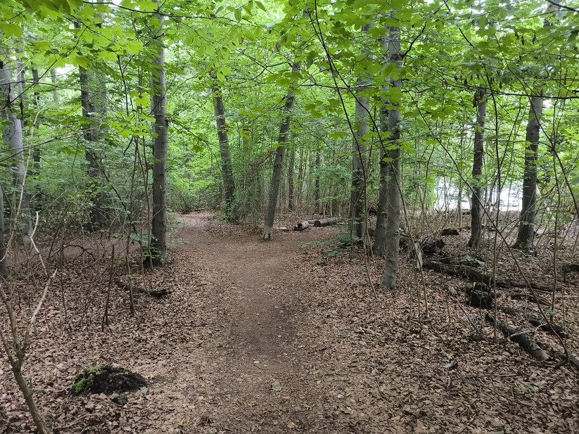 Ulefone Armor 34 Pro - Originalaufnahmen