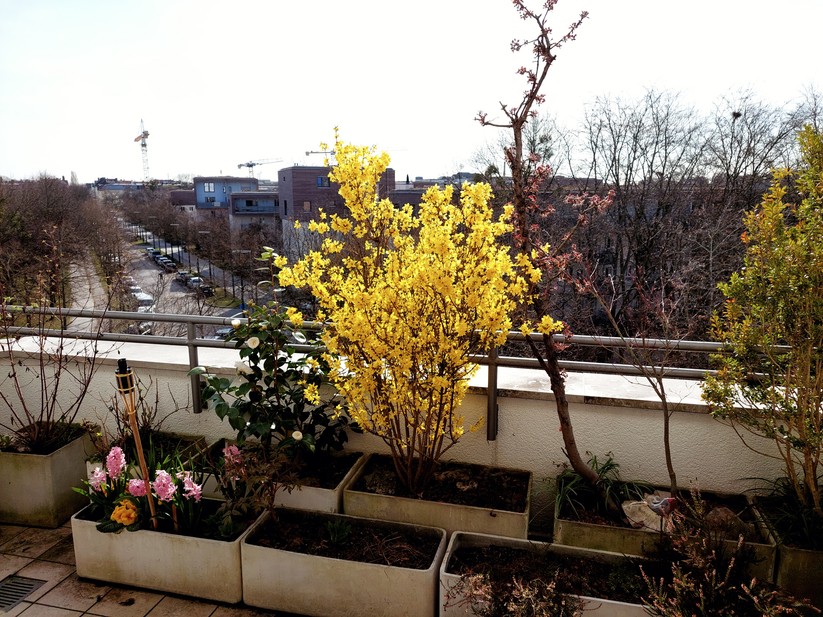 Mit dem Samsung Galaxy A52 geschossene Fotos