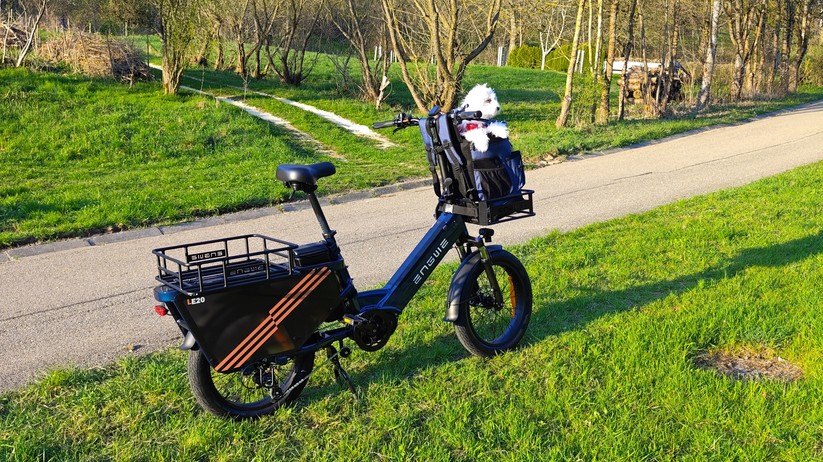 Engwe LE20 Cargo