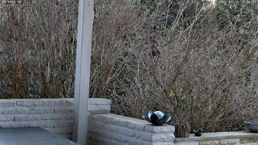 Instar IN-9820 4K: Bildschärfe, Farbwiedergabe und dank HDR auch die Bilddynamik sind kein Vergleich zu günstigen 100-Euro-Kameras