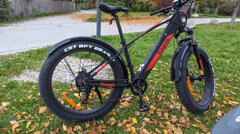 Google Pixel 7 Fotos