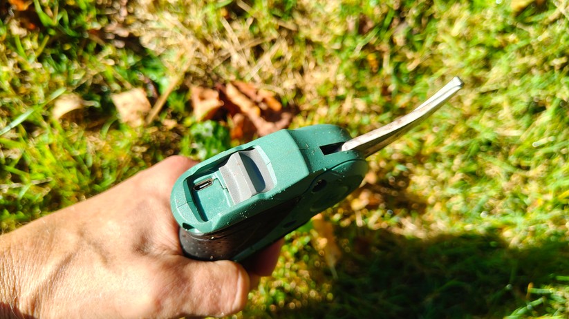 Bosch Easyprune