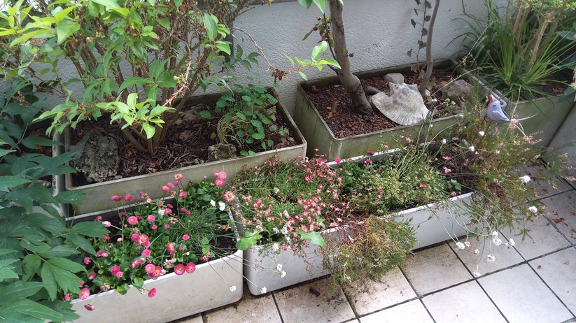 Samsung Galaxy Tab S5e