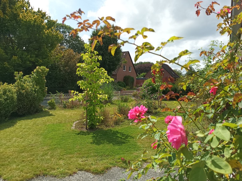 Oukitel WP56 - Originalaufnahmen 