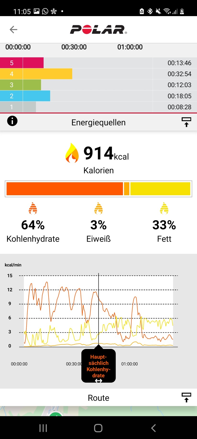 Polar Ignite 2 - Polar Flow App
