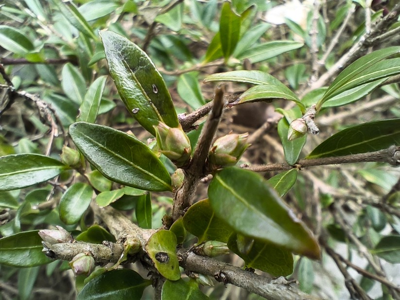 Xiaomi Poco X6 Pro - Originalaufnahmen