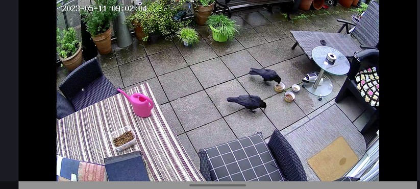 7Links IPC-740 (ZX-5346-675): Elesion-App