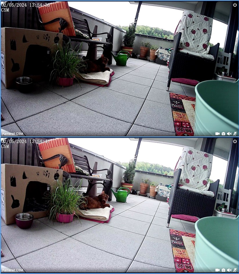 Foscam C5M 3K: Dank WDR (Wide Dynamic Range) überzeugt die Bildqualität auch bei Gegenlicht (Bild unten mit WDR). 