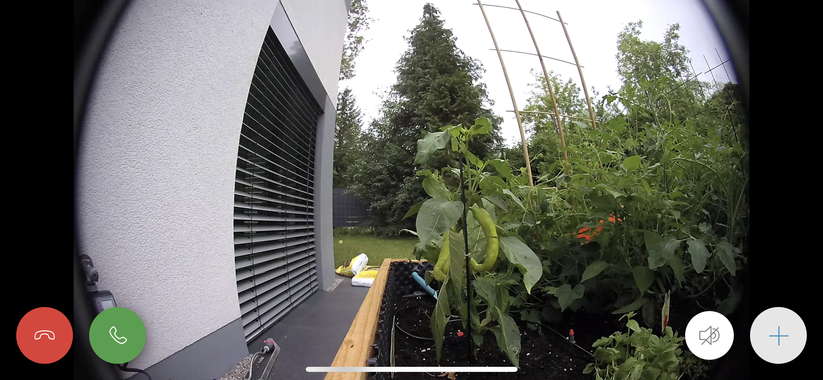 Live-Bild-Ansicht mit Sprachfunktion