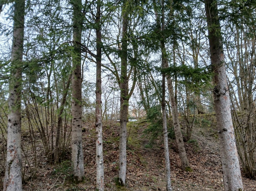 Samsung Galaxy Xcover 7 - Originalaufnahmen 