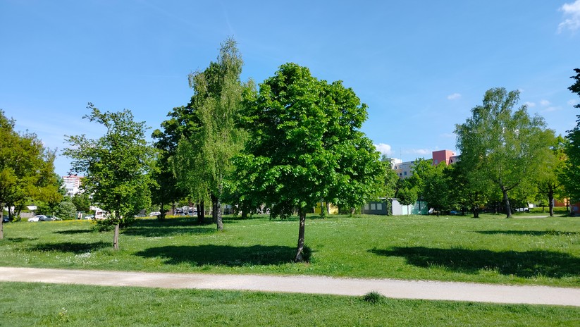 Realme 9 - Originalaufnahmen 