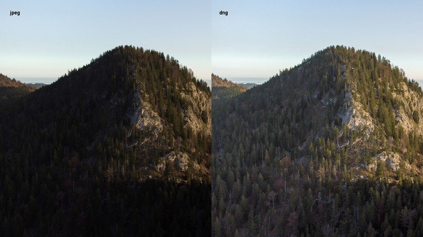 Dank dng-Format können abgesoffene Bildbereiche gerettet werden - auch wenn wir es hier mit der Helligkeit etwas übertrieben haben.