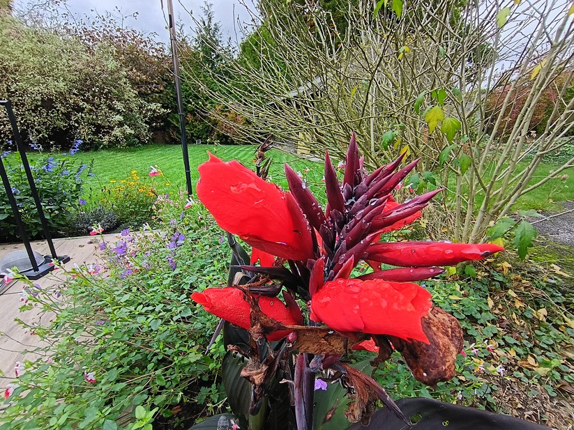 Motorola Moto G56 5G – Originalaufnahmen