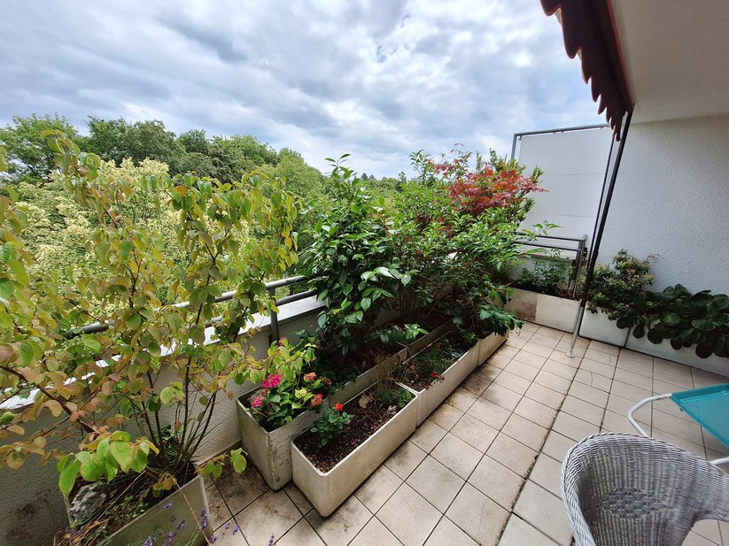 Samsung Galaxy A54 - Originalaufnahmen 