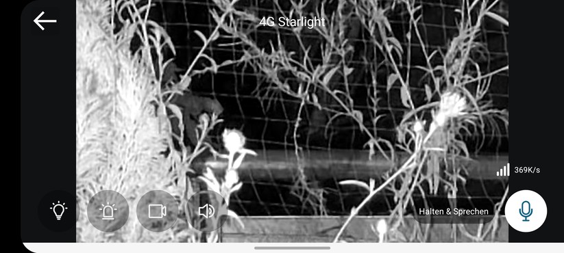 Eufy 4G LTE Starlight: Zoom