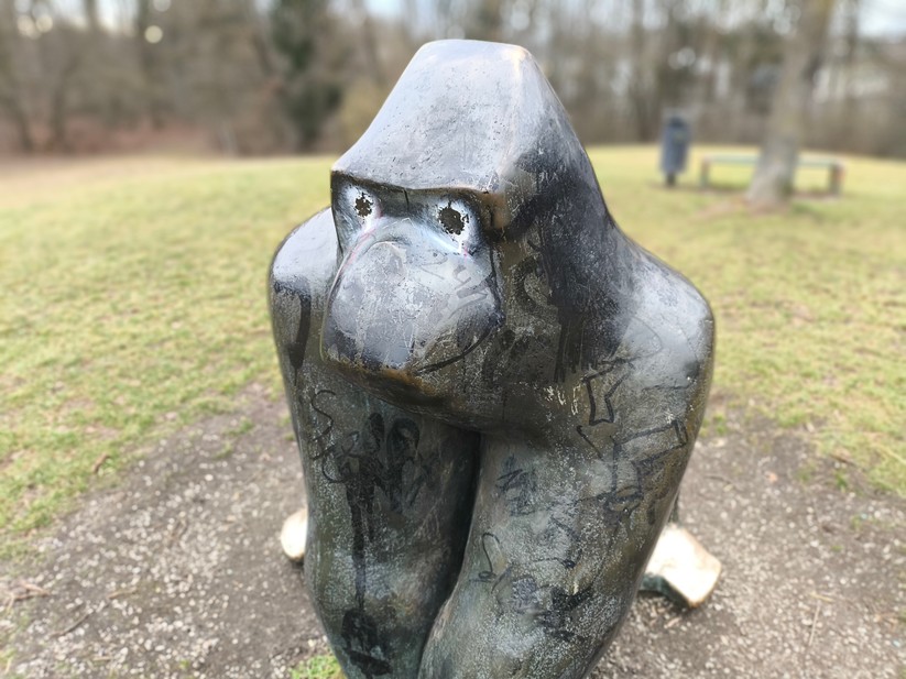 Xiaomi Poco X6 Pro - Originalaufnahmen