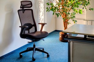 Desktronic Sitone im Test: Ergonomischer Bürostuhl mit Lordosenstütze für 289 €