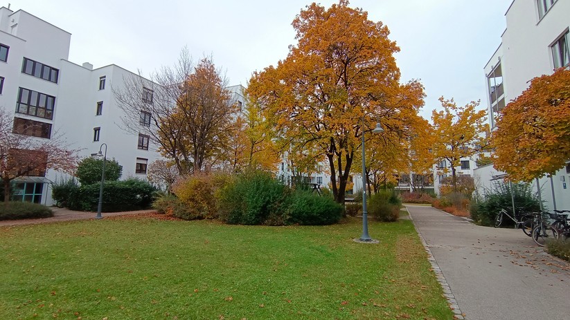 Fotos mit dem Vivo Y72 5G