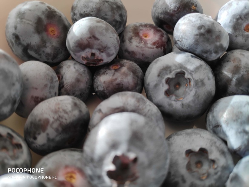 Nahaufnahme bei Tageslicht