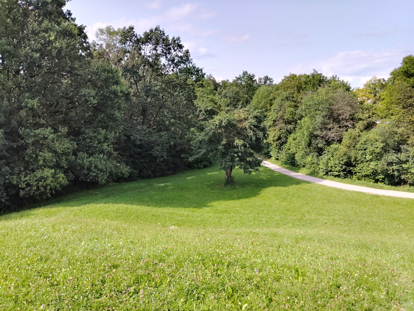 T Phone 2 Pro - Originalaufnahmen