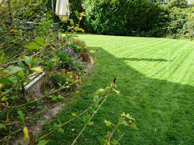 Sony Xperia 1 VII - Originalaufnahmen 