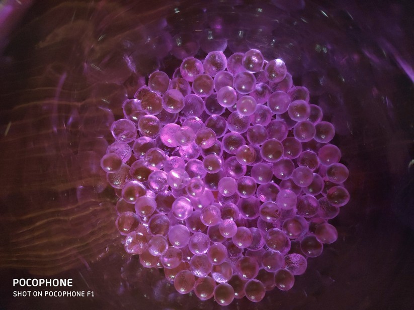 Nahaufnahme bei Kunstlicht