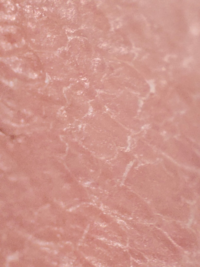 Realme GT 2 Pro - Originalaufnahmen 