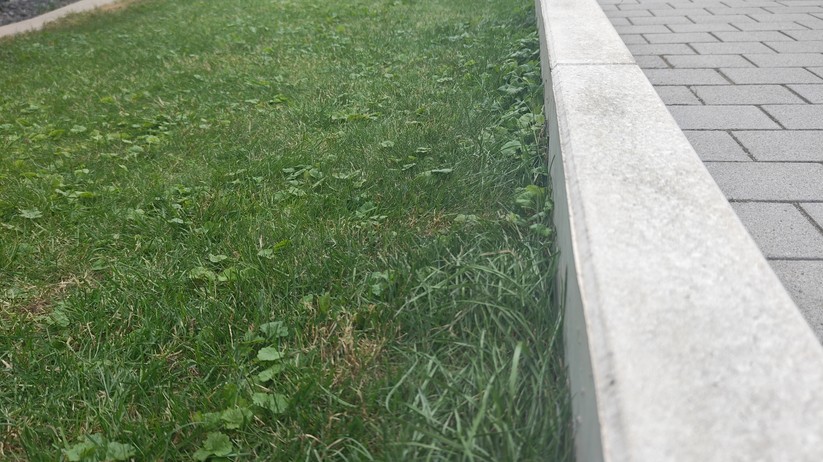 Natural Expressions Performance 7: Kamerabasierter Mähroboter mit einer Schnittbreite von 18 cm für Rasenflächen bis 500 m².