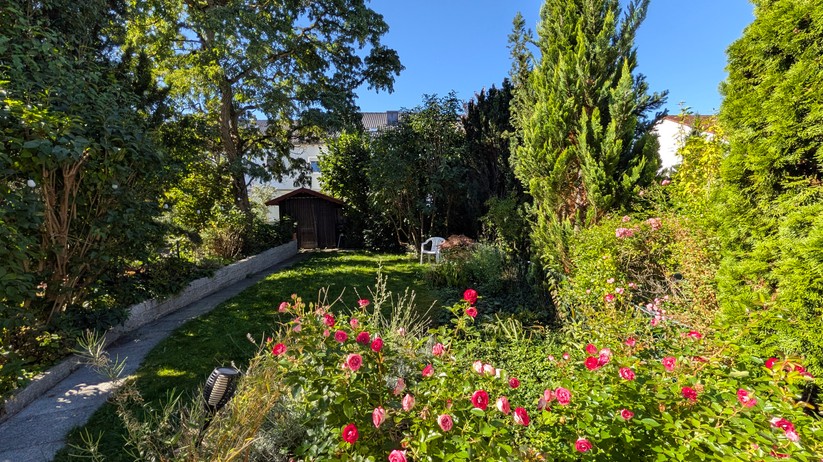 Google Pixel 10 Fotos